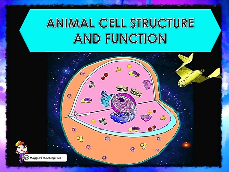 how to find critical points of a function