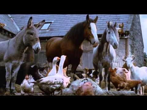 30 best Teaching - Animal Farm images on Pinterest Farm unit, Ap - animal specialist sample resume 30 best Teaching - Animal Farm images on Pinterest Farm unit, Ap - animal specialist sample resume