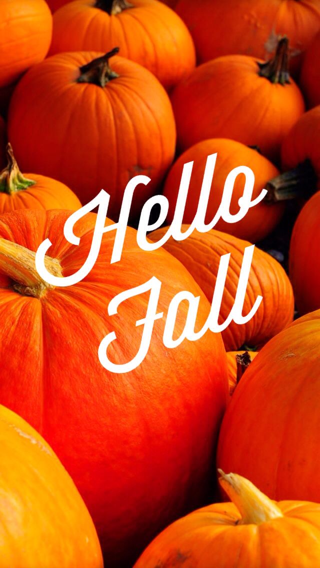 Image result for Fall