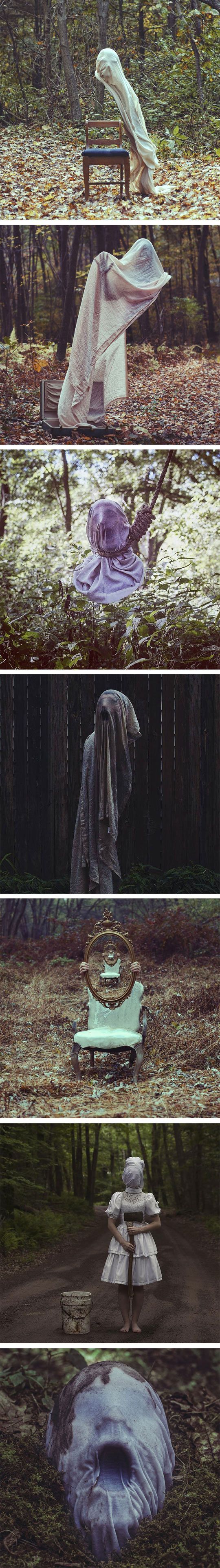 funny pictures about forest filled with ghosts oh and cool pics about forest filled with ghosts also forest filled with ghosts photos