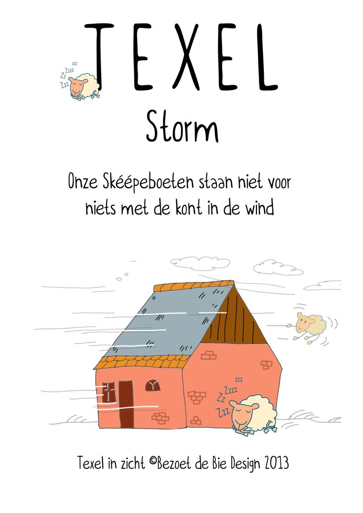 de decemberstorm…op Texel zijn wij wel wat gewend ...