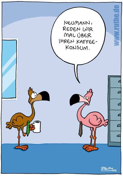 Lustige bilder kennenlernen