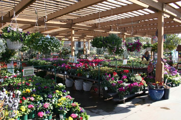 Armstrong Garden Centers Santa Monica Los Angeles Ca (awesome Armstrong Armstrong Garden Centers Santa Monica Los Angeles Ca (awesome Armstrong