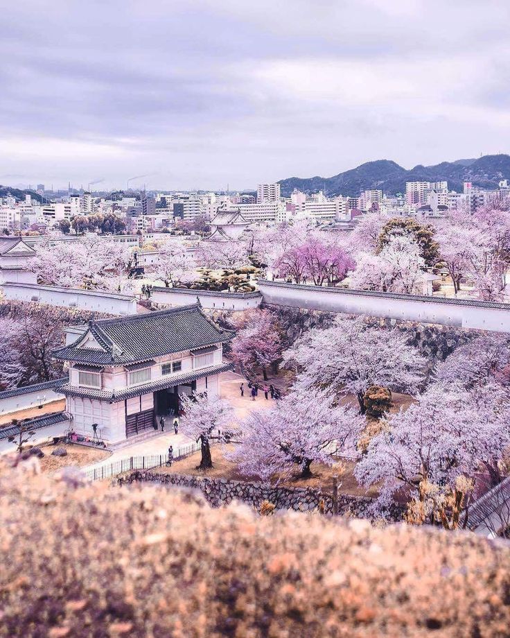 All about the country of japan