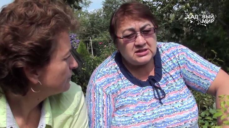 Цветы в доме и уход за ними 194
