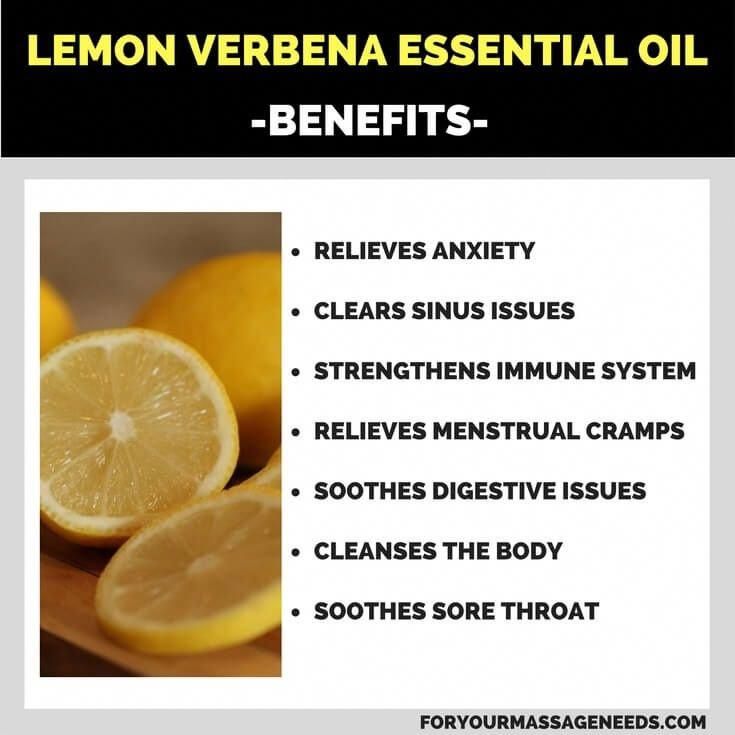 Lemon Verbena Essential Oil Health Benefits Listed Essential Oils Health Benefits Lemon Verbena Essential Oil Verbena Essential Oil