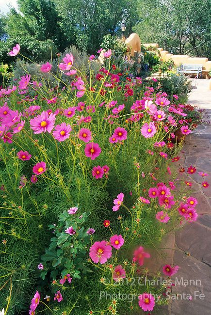 423 Best Patio And Gardening Ideas Images On Pinterest Gardens Landscaping And Garden Ideas 423 Best Patio And Gardening Ideas Images On Pinterest Gardens Landscaping And Garden Ideas