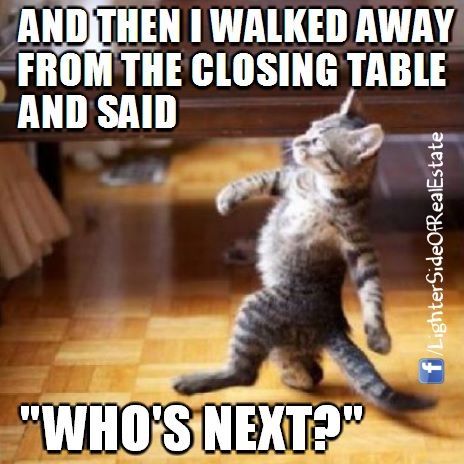 Cat Walking Like A Boss Funny Pictures Hilarious Jokes Meme Humor Walmart Fails Mine And Rs Walk When We Into Party Lol Cat Walking Like A Boss Funny Pictures Hilarious Jokes Meme Humor Walmart Fails Mine And Rs Walk When We Into Party Lol