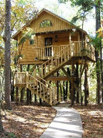 Tree House Plans For Adults best 25+ treehouse cottages ideas that you will like on pinterest Tree House Plans For Adults best 25+ treehouse cottages ideas that you will like on pinterest