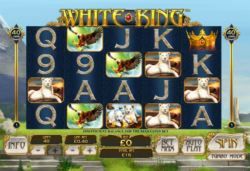casino rules