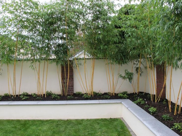 Raised Garden Bed Retaining Wall Raised Garden Bed Retaining Wall