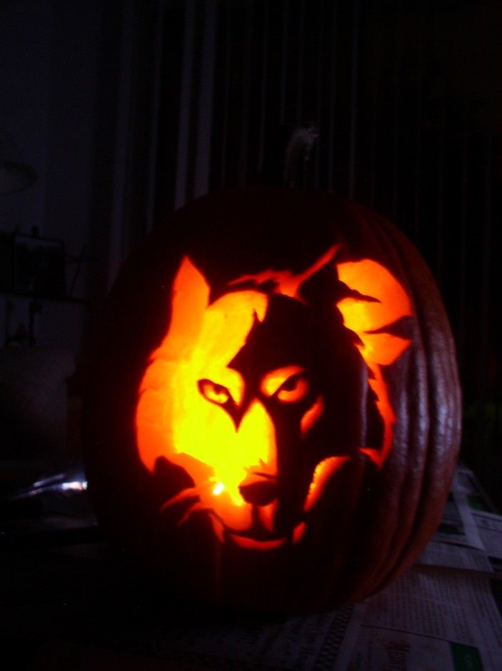 Best pumpkin carvings images on pinterest halloween Best pumpkin carvings images on pinterest halloween