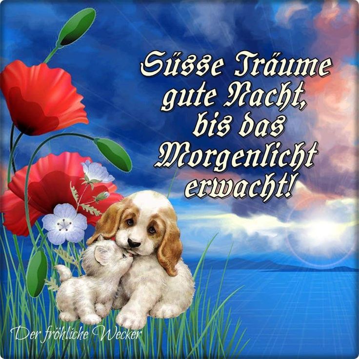 Gute nacht grüße bilder kostenlos