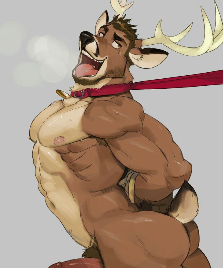 furry porn gay yif black clip gay man man video white