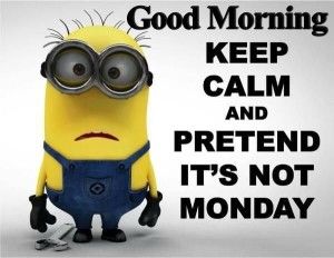 Monday Quotes Funny Entrancing 16 Best Monday Morning Quotes Images On Pinterest Monday Morning Monday Quotes Funny Delectable 16 Best Monday Morning Quotes Images On Pinterest Monday Morning