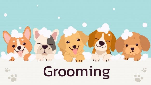banner com cachorros fofos com bolha de sabao em estilo simples ilustation de pet grooming in 2021 pet grooming pet grooming business pets