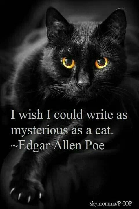 the black cat edgar allan poe analysis essay The black cat is a short story by american writer edgar allan poe it was first published in the august 19, 1843, edition of the saturday evening post it is a study of the psychology of guilt, often paired in analysis with poe's the tell-tale heart in both, a murderer carefully conceals his crime and believes himself unassailable, but. the black cat edgar allan poe analysis essay The black cat is a short story by american writer edgar allan poe it was first published in the august 19, 1843, edition of the saturday evening post it is a study of the psychology of guilt, often paired in analysis with poe's the tell-tale heart in both, a murderer carefully conceals his crime and believes himself unassailable, but.