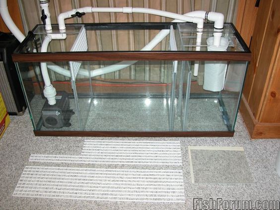 building a sump | Aquarium sump, Saltwater aquarium fish, Diy aquarium
