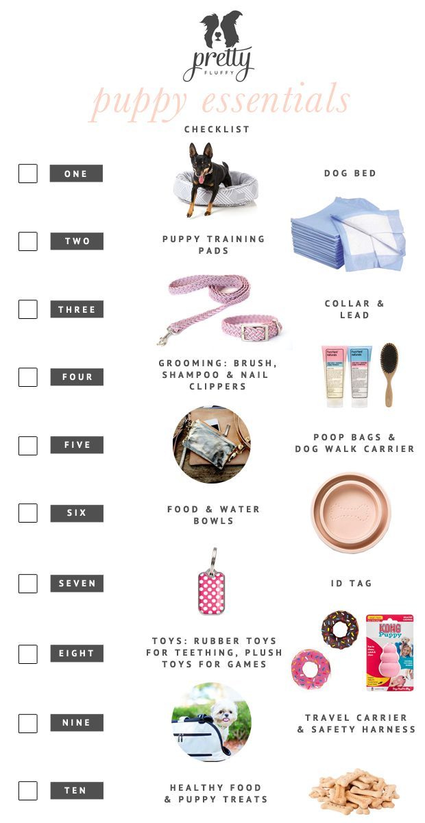getting a puppy checklist best 25 new puppy checklist ideas on puppy list new puppy and puppies stuff getting a puppy checklist best 25 new puppy checklist ideas on puppy list new puppy and puppies stuff