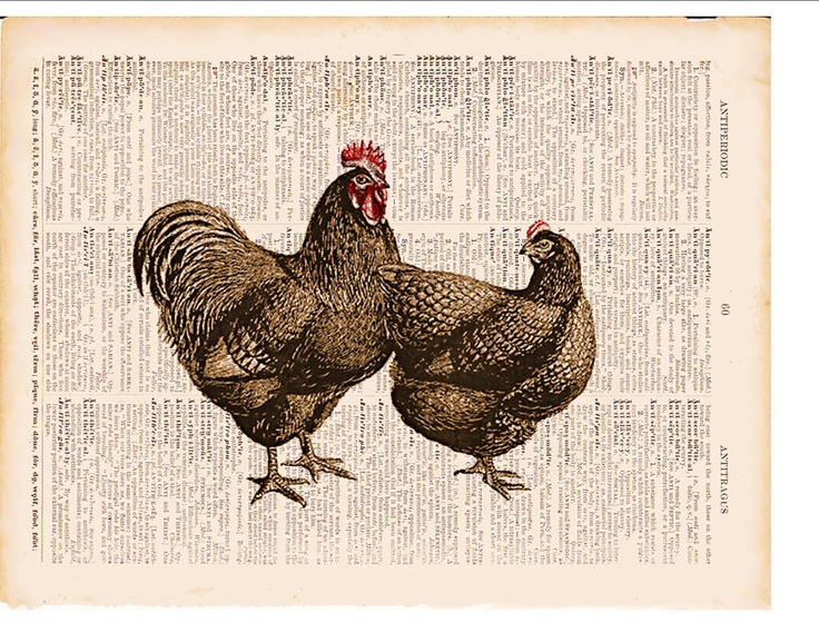farm animals pictures to print