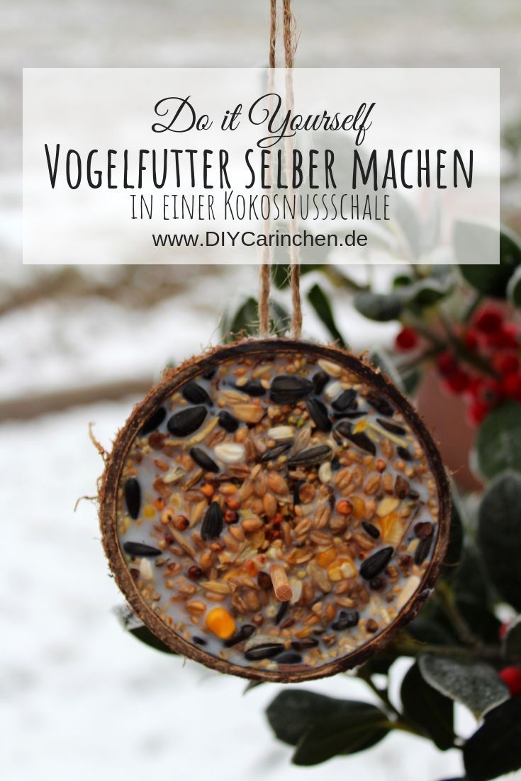 Diy Vogelfutter Schnell Und Einfach Selber Machen Mit Kokosfett