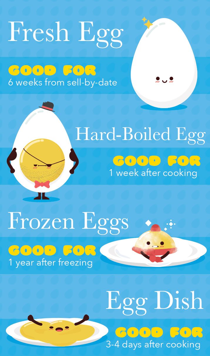 The Ultimate Guide To Egg Nutrition With Images The Ultimate Guide To Egg Nutrition