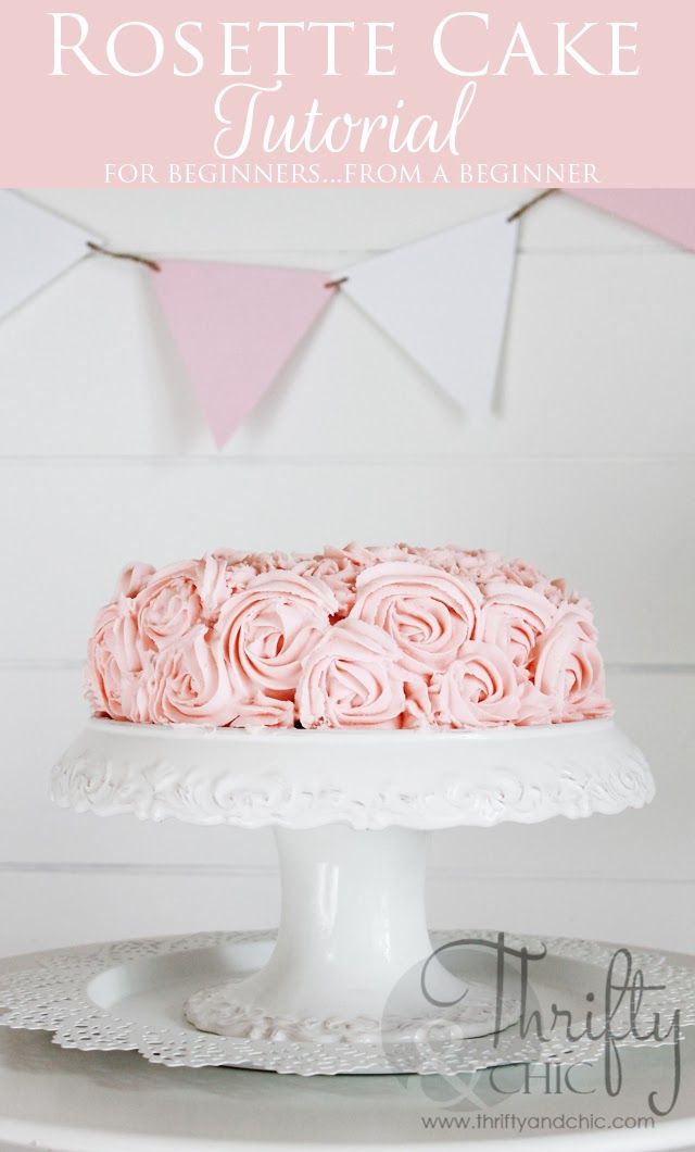 Best 25+ Beginner cake decorating ideas on Pinterest ...