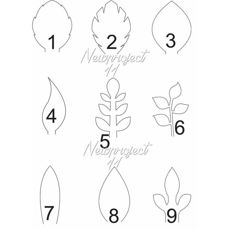 Holiday template sale All of my template 50% off December 9- December 31 For inquires please send a DM @newproject_11