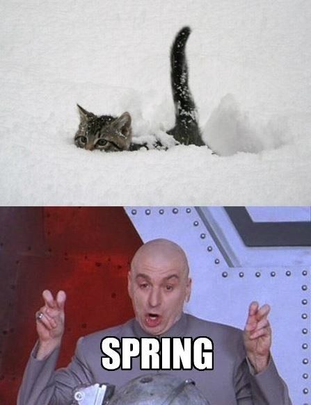7 best spring, summer, fall, winter images on pinterest funny c88bef4753a843e613f8068dd3fc2cc4 funny shit hilarious 7 best spring, summer, fall, winter images on pinterest funny