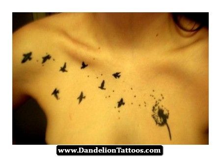 the 25 best bird tattoo collarbone ideas on pinterest small the 25 best bird tattoo collarbone ideas on pinterest small