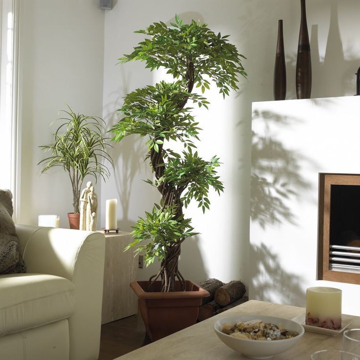7 Best Ppplantes Images On Pinterest Artificial Tree Plant And Large Contemporary Artificial Plants And Trees Luxury Anese Fruticosa Tree Handmade Using Real Bark Synthetic Leaves Indoor Plant Tall