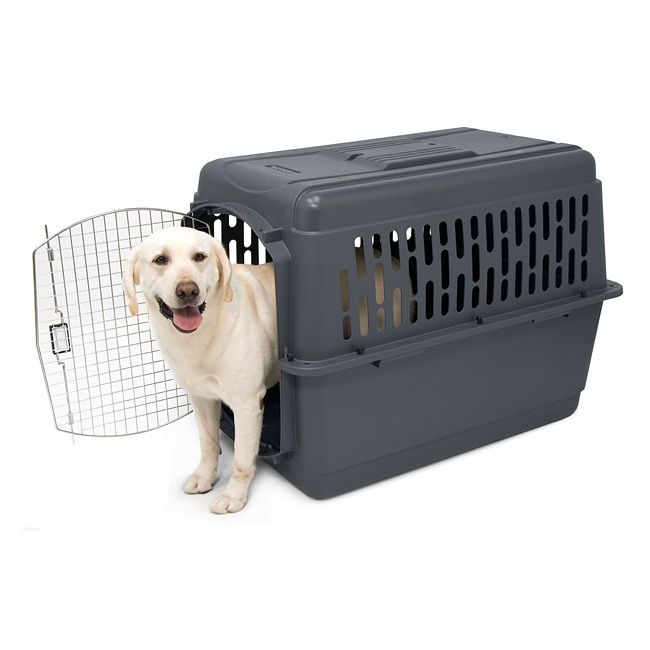 overstock pet supplies