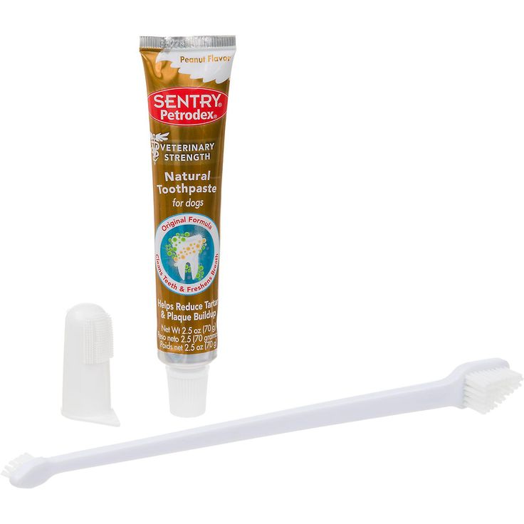 Best Dog Toothpaste For Removing Tartar Best Dog Toothpaste For Removing Tartar