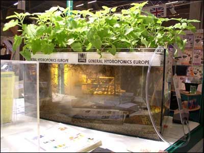 70 best Grow Techniques images on Pinterest Cannabis, Killing - chambre de culture cannabis interieur 70 best Grow Techniques images on Pinterest Cannabis, Killing - chambre de culture cannabis interieur