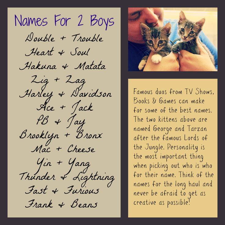 Here Is A Handy List Of Some Of The Best Masculine Names For Two Male here-is-a-handy-list-of-some-of-the-best-masculine-names-for-two-male