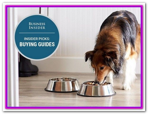 Best Grocery Store Dog Food 2018 Zero Grain Nutrish Taste Of