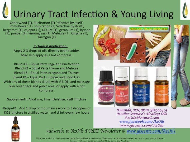 Natural Remedy Urinary Tract Infection Dogs Natural Remedy Urinary Tract Infection Dogs