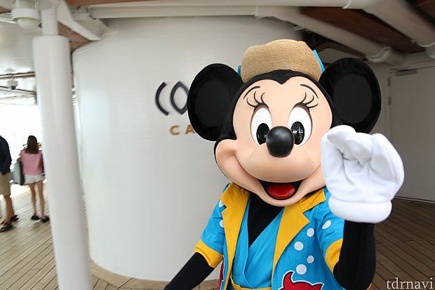 ディズニークルーズライン ピン ミッキー - www.eeducationgroup.com 特売 ディズニークルーズライン ピン ミッキー キャラクターグッズ