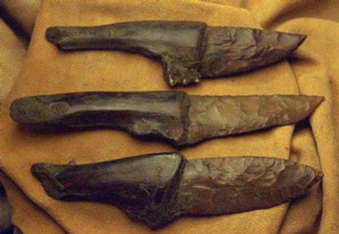 картинки древнего ножа животные имеют совершенно