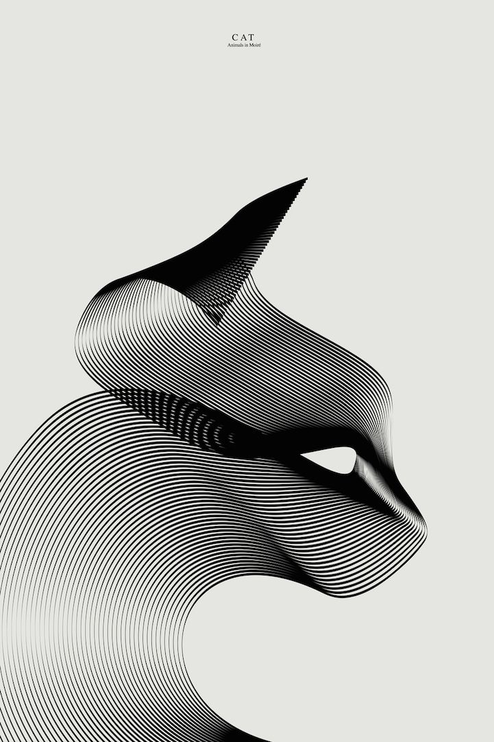 Elegant illustrations of animals made with graceful lines and lively colors Elegant illustrations of animals made with graceful lines and lively colors