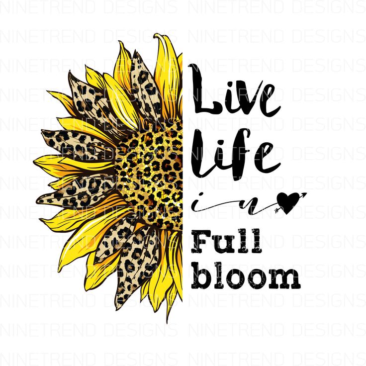 It Takes A Lot Of Sparkle To Be A pharmacy tech Leopard colorful Sunflower Design sublimation PNG File Download stethoscope INSTANT DOWNLOAD