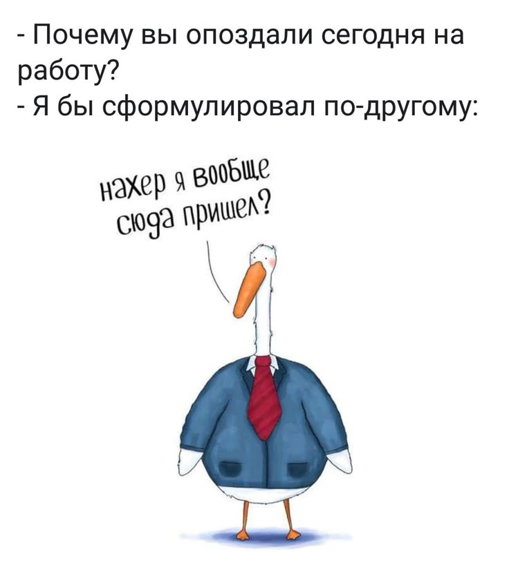 Трахаль сегодня ненадолго опоздал Трахаль сегодня ненадолго опоздал