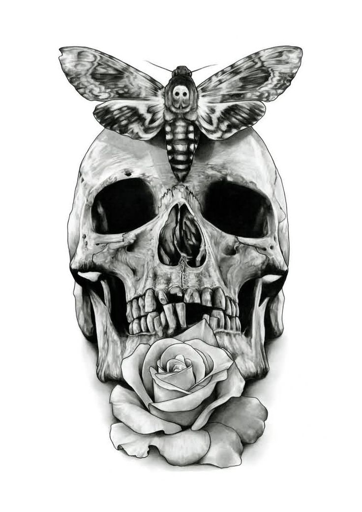 28 best skull and rose tattoo and butterfly stensils images on 28 best skull and rose tattoo and butterfly stensils images on