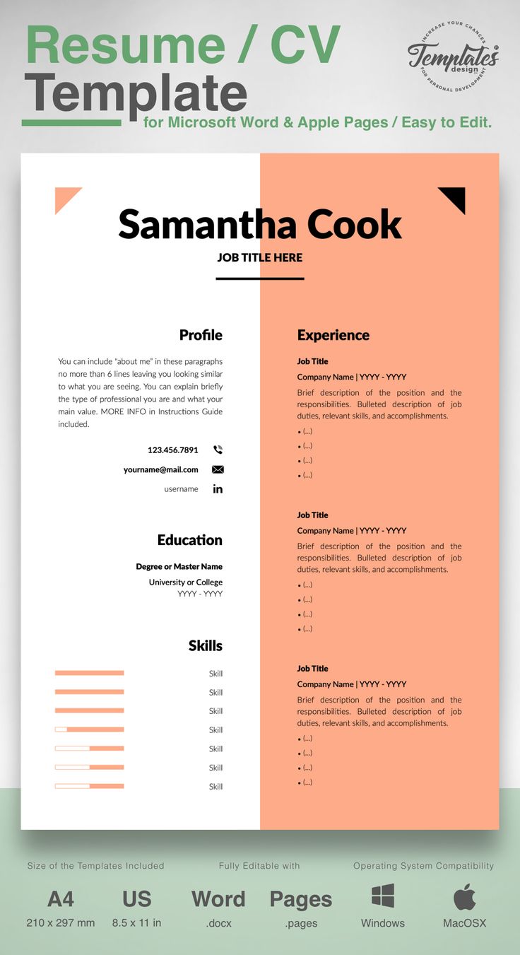 line cook resume cover letter examples
