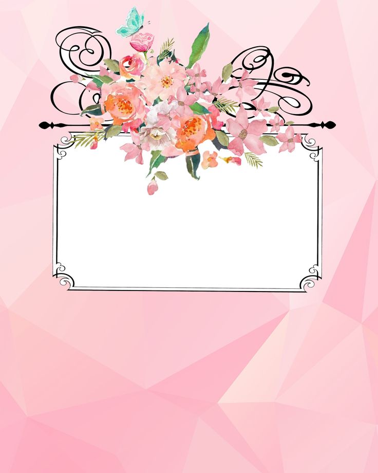 This is an image of Effortless School Binder Covers It is a photo of Effortless School Binder Covers