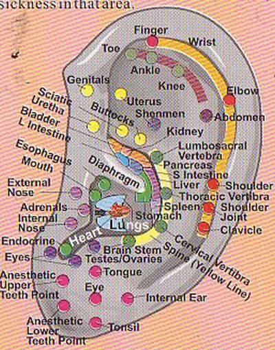 26 best medecine traditionnelle chinoise images on Pinterest - bilan energetique maison gratuit 26 best medecine traditionnelle chinoise images on Pinterest - bilan energetique maison gratuit