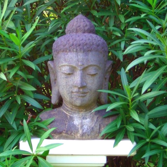 Buddha Head In Garden Art More Pinterest Buddha Head In Garden Art More Pinterest And