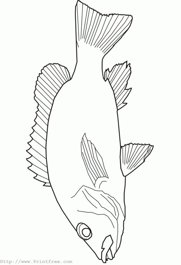 google images clip art free of fish fish outline image clip art