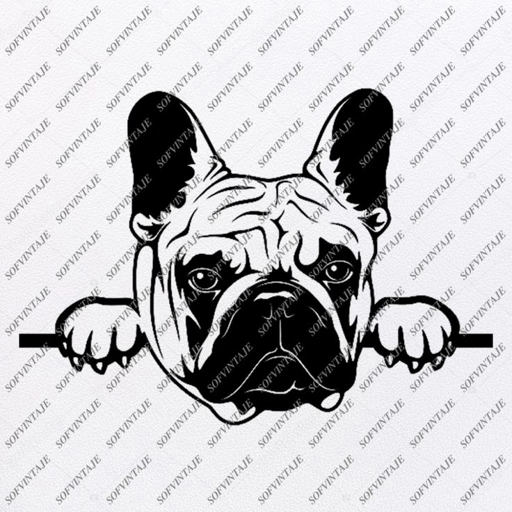 Download Bulldog Svg File-English Bulldog Svg Original Design ...