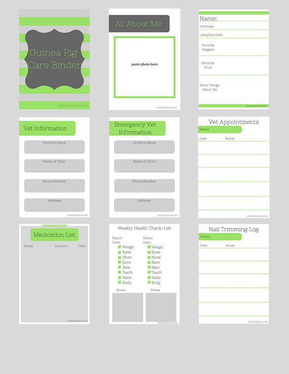 The 25+ best Emergency vet ideas on Pinterest Countryside vet - first aid incident report template The 25+ best Emergency vet ideas on Pinterest Countryside vet - first aid incident report template
